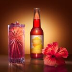 Hibiscus Pétillant - Gingembre Bergamote 33cl
