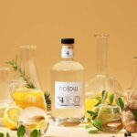 Nolow Spirit Free – N°4 – Distillat Botanique – G. sans alcool